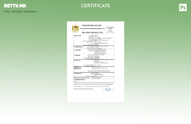 модерен стил Палестина од витално значење за умрениот шаблон Word и PDF шаблон